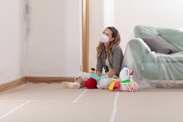 Reliable Commercial Mold Remediation contractor in Long Lake, IL by 24 Hour Mold Removal